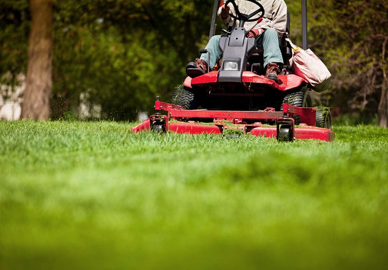 man mowing lawn for commercial landscaping Bellingham