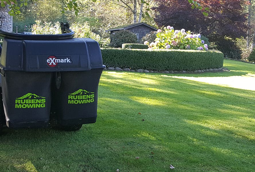 Lawn care in Bellingham