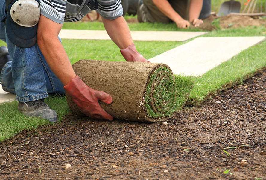 Landscaping Installation Bellingham